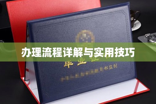 嘉善办理流程详解与实用技巧