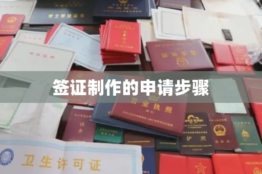 嘉善签证制作的申请步骤