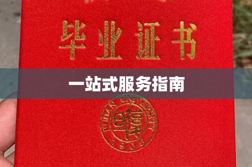 嘉善一站式服务指南