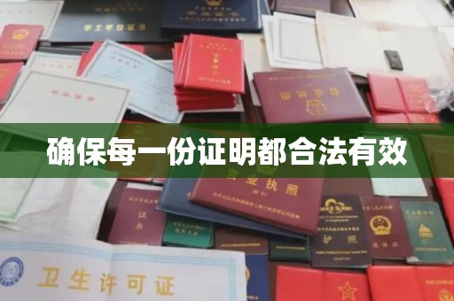嘉善确保每一份证明都合法有效