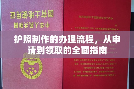 嘉善护照制作的办理流程，从申请到领取的全面指南