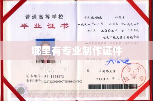嘉善哪里有专业制作证件