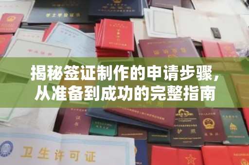 嘉善揭秘签证制作的申请步骤，从准备到成功的完整指南