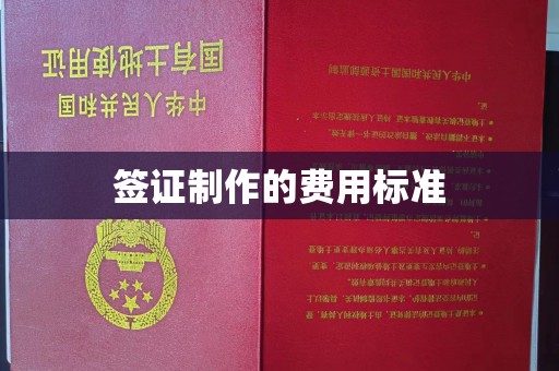 嘉善签证制作的费用标准