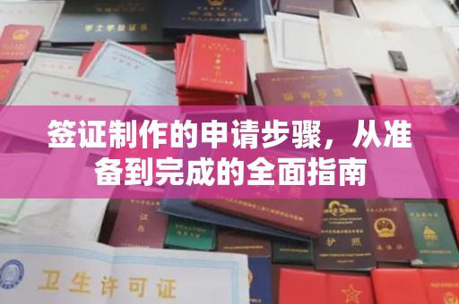 嘉善签证制作的申请步骤，从准备到完成的全面指南